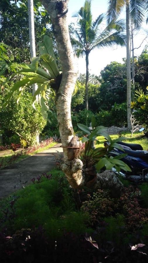 Balian Bliss Retreat Resort - Adults Only Ngoại thất bức ảnh