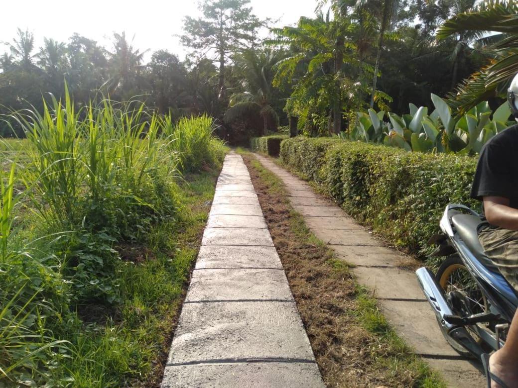 Balian Bliss Retreat Resort - Adults Only Ngoại thất bức ảnh