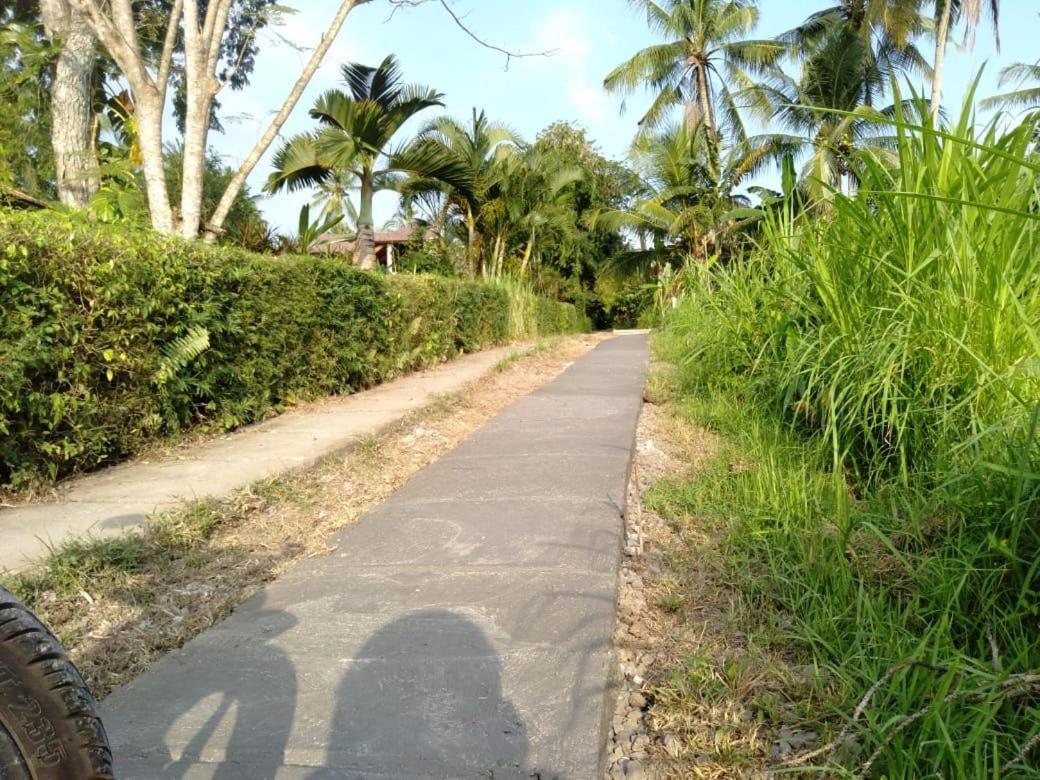 Balian Bliss Retreat Resort - Adults Only Ngoại thất bức ảnh